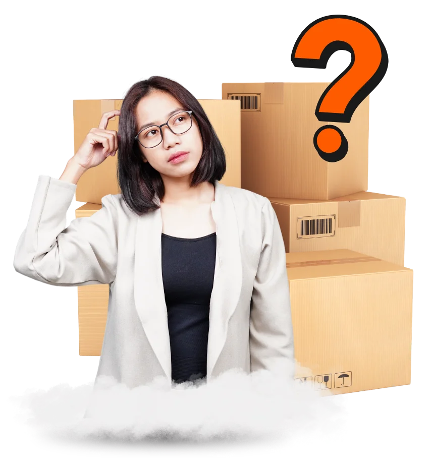 Assets LP Cargonesia 10