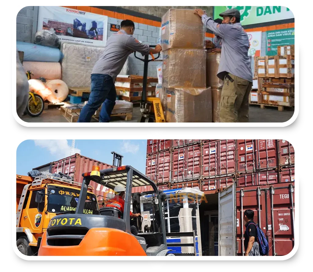 Assets LP Cargonesia 6